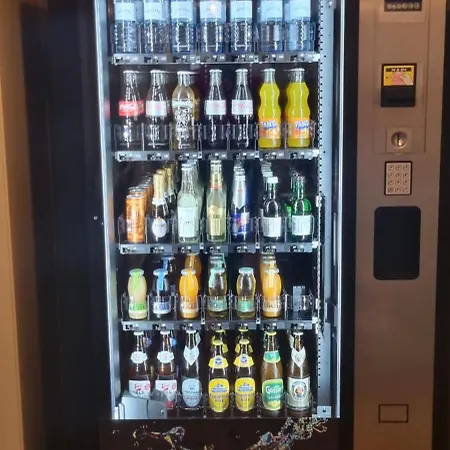 Johannes Schloessl - Gaestehaus Der Pallottiner Am Moenchsberg ホームステイ *