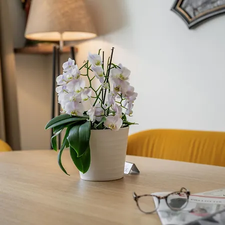 Johannes Schloessl - Gaestehaus Der Pallottiner Am Moenchsberg ホームステイ