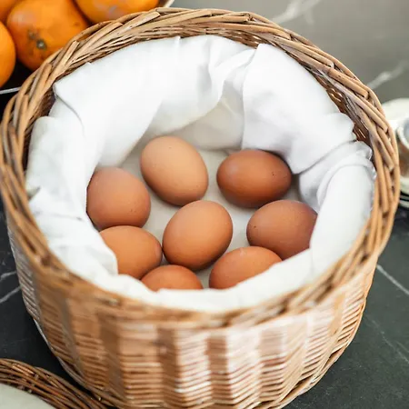 ホームステイ Johannes Schloessl - Gaestehaus Der Pallottiner Am Moenchsberg ザルツブルク