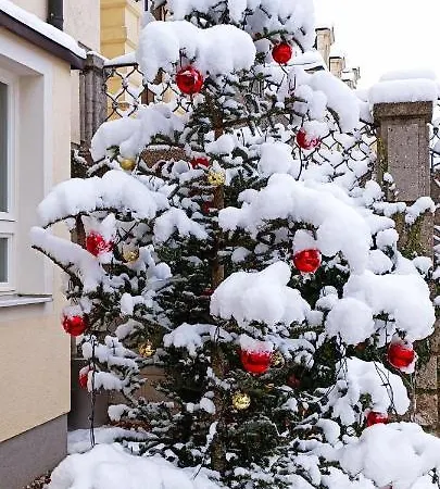Johannes Schloessl - Gaestehaus Der Pallottiner Am Moenchsberg Homestay Salzburg