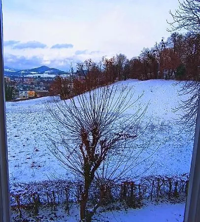 Johannes Schloessl - Gaestehaus Der Pallottiner Am Moenchsberg Homestay *